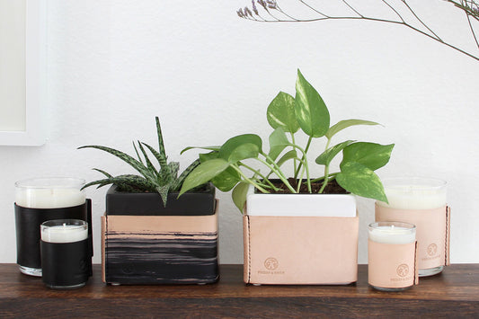 The Home Goods Collection